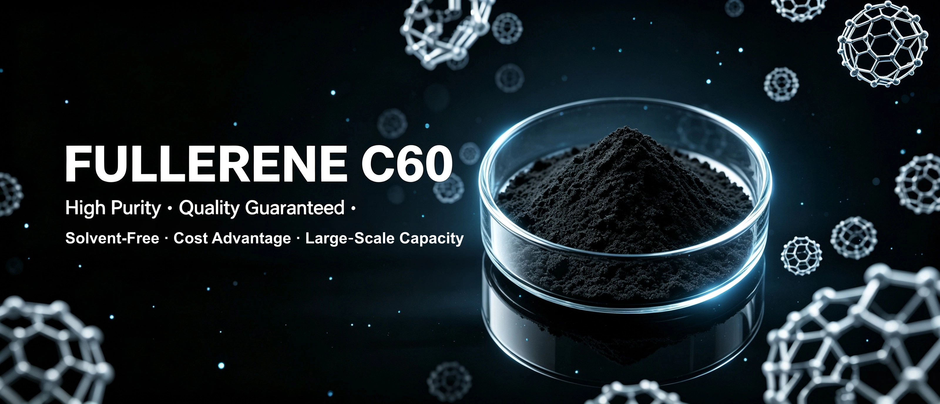 FULLERENE C60 FULLERENE C60